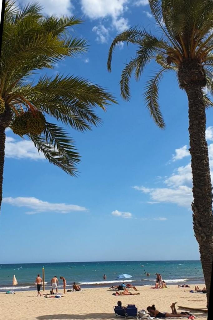 2 Palmers facing the Mediterranean sea in Alicante, Spain